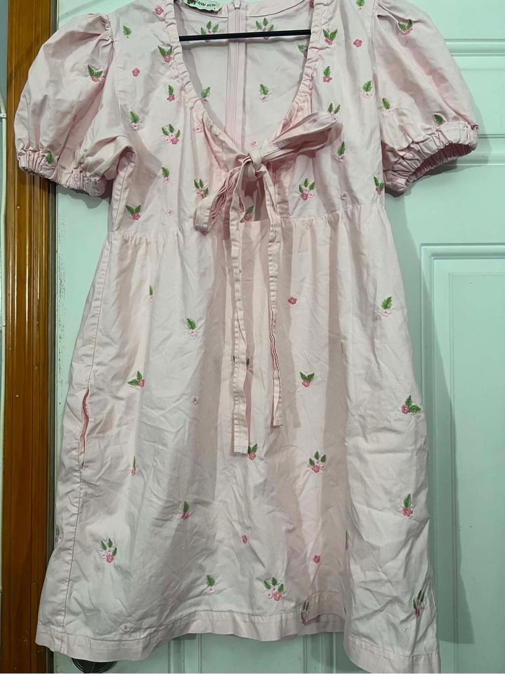 Fanm Mon Greta Dress Light Pink Floral Embrodered Tie-Front Babydoll Size Large